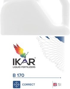 B 170