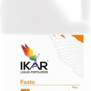 Fosto