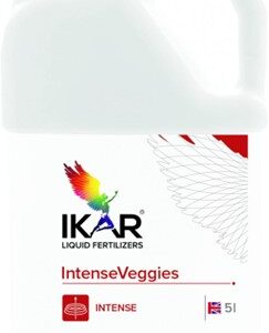 IntenseVeggies