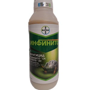 ИНФИНИТО СК