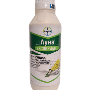 ЛУНА ЕКСПИРИАНС