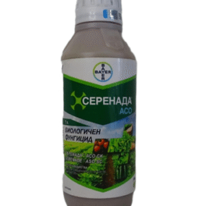 СЕРЕНАДА АСО СК